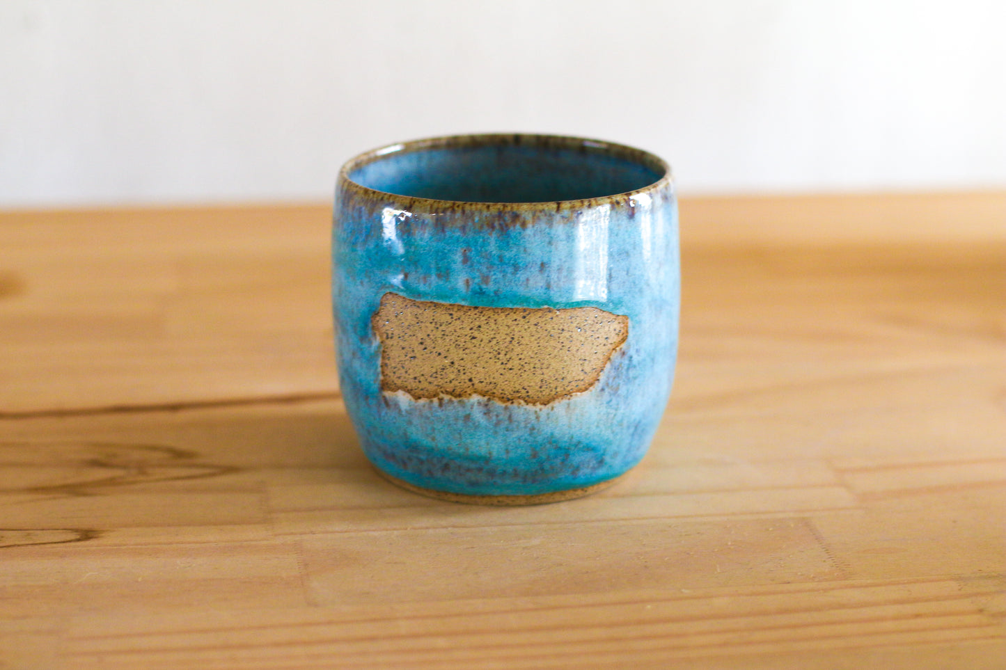 Puerto Rico Mug 5