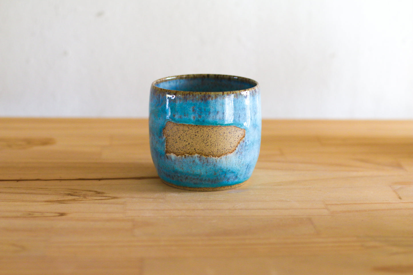 Puerto Rico Mug 5