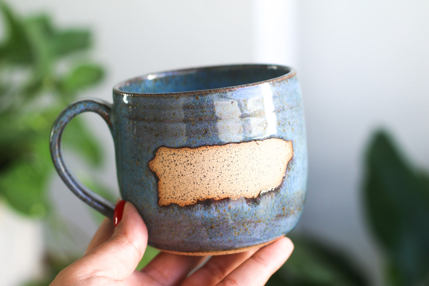 Puerto Rico mug 1