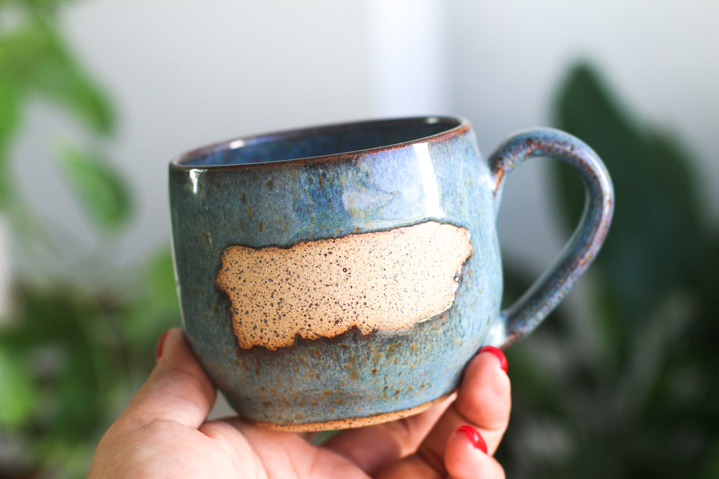 Puerto Rico mug 8